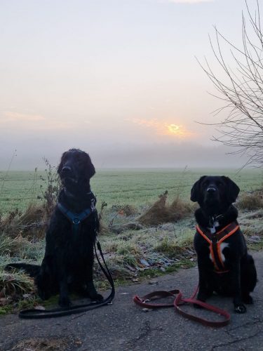 026014df-7b4d-478a-96bb-f38b97fee1f0