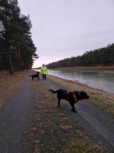 523f8314-bc4a-4103-bfda-3d36594ed257