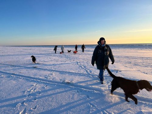 90cb99e7-d77f-4d2b-b209-8dae5cb7e740