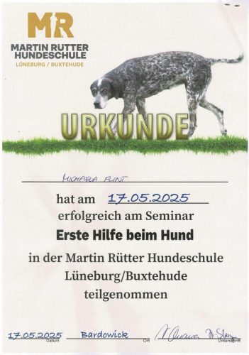 Erste Hilfe am Hund DOGS
