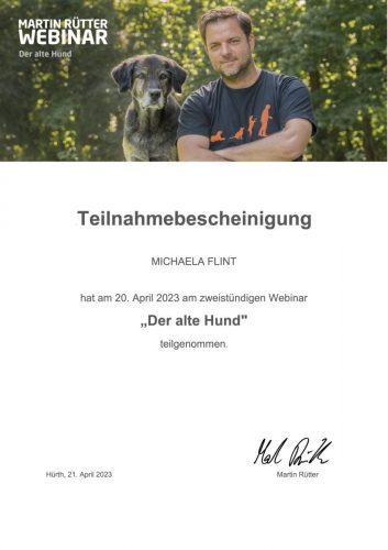 Teilnahmebescheinigung DOGS Alter Hund