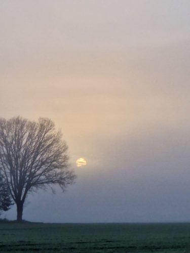 a74dd445-c675-42d1-89bb-f322b3629c89