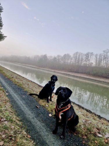 bf8dea70-6f1f-4322-ba14-db4ce8e3478f